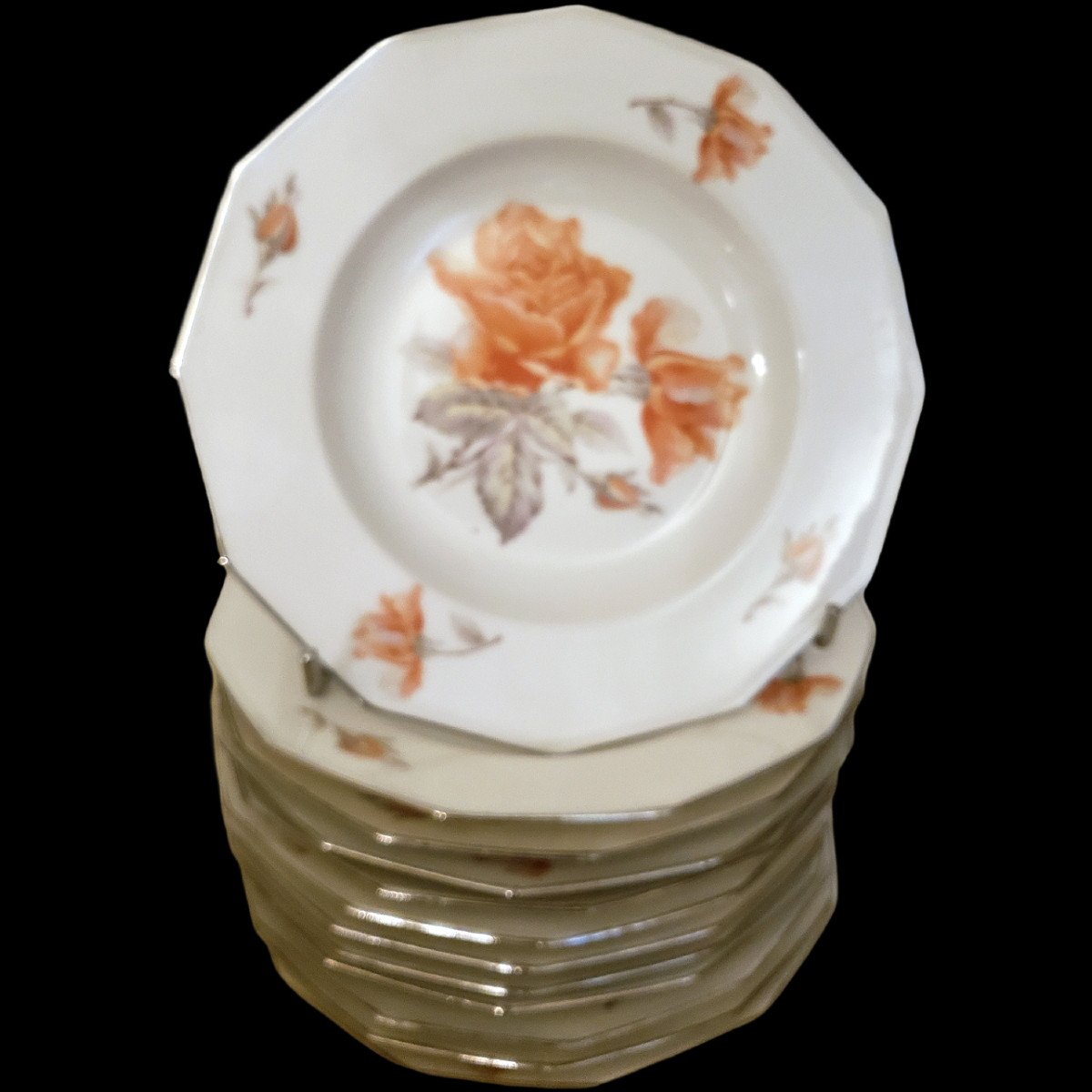 Service De Vaisselle Porcelaine De Limoges 60 Pieces Chalet Nadaud-photo-4