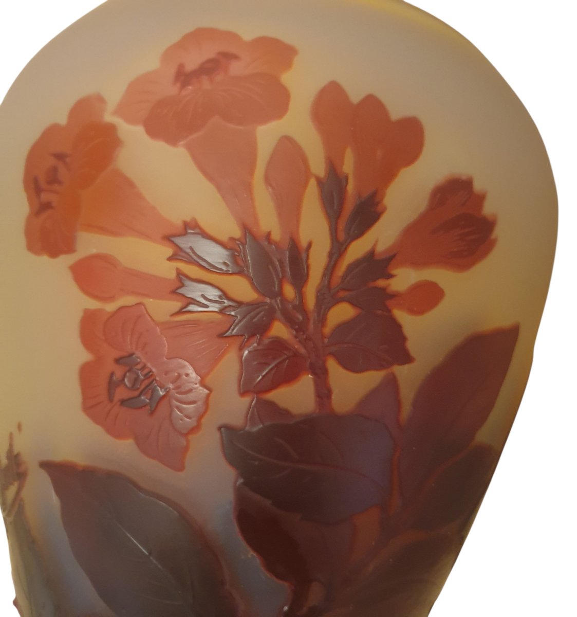 Vase emile gallé rouge sur fond jaune fleurs de bignone-photo-2