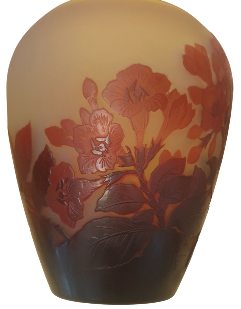 Vase emile gallé rouge sur fond jaune fleurs de bignone-photo-5