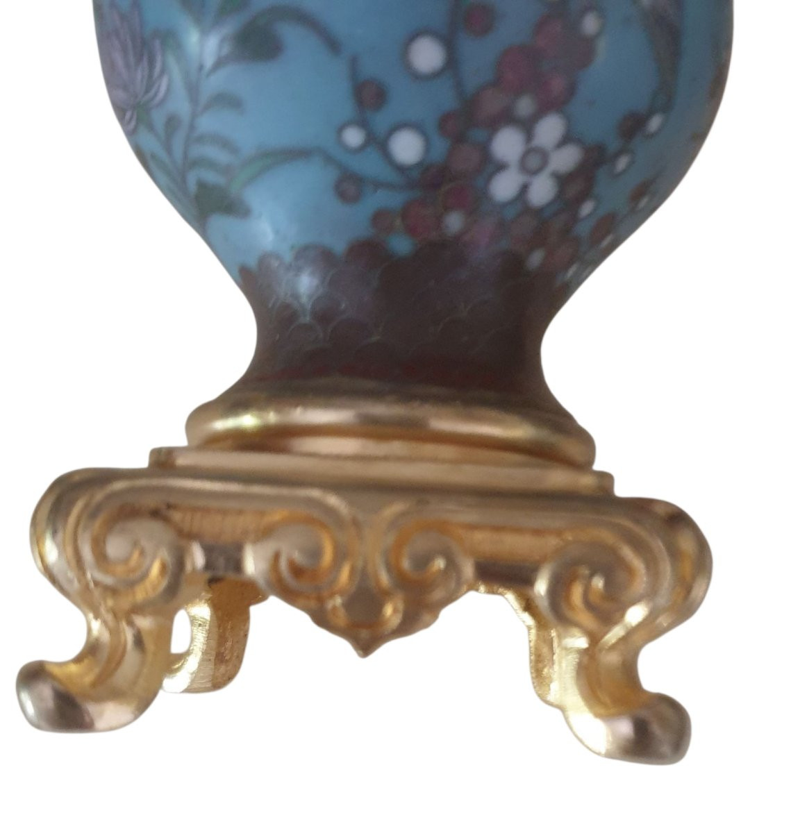 Paire de vases bouteilles chinoise en cloisonné sur socles en bronze doré XIXème -photo-2