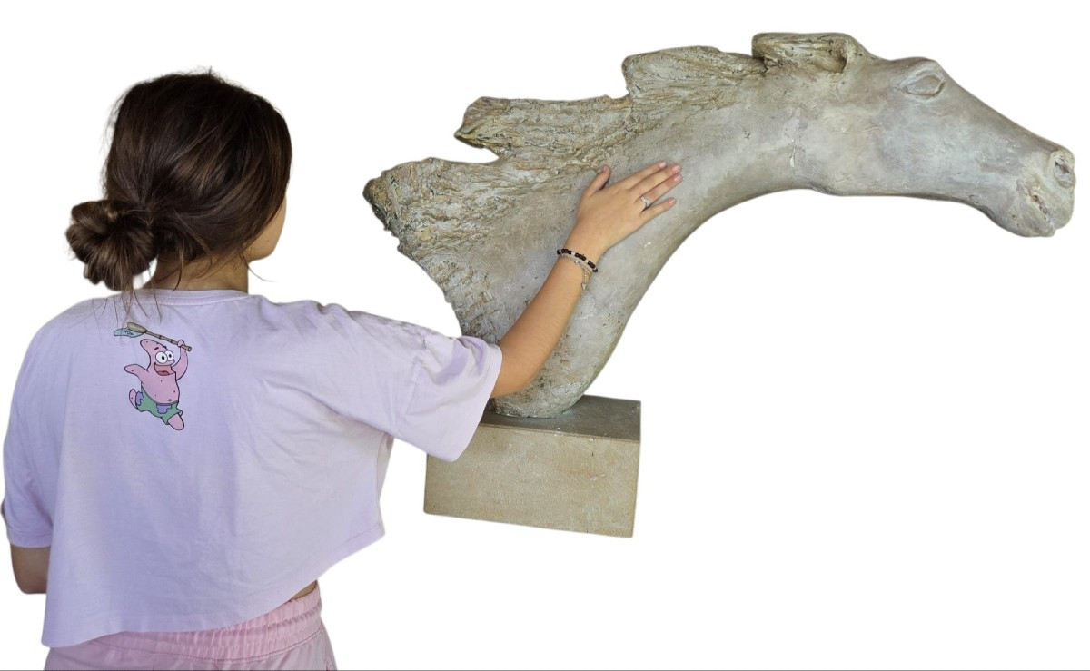 Immense tête de cheval en platre d'atelier -photo-2