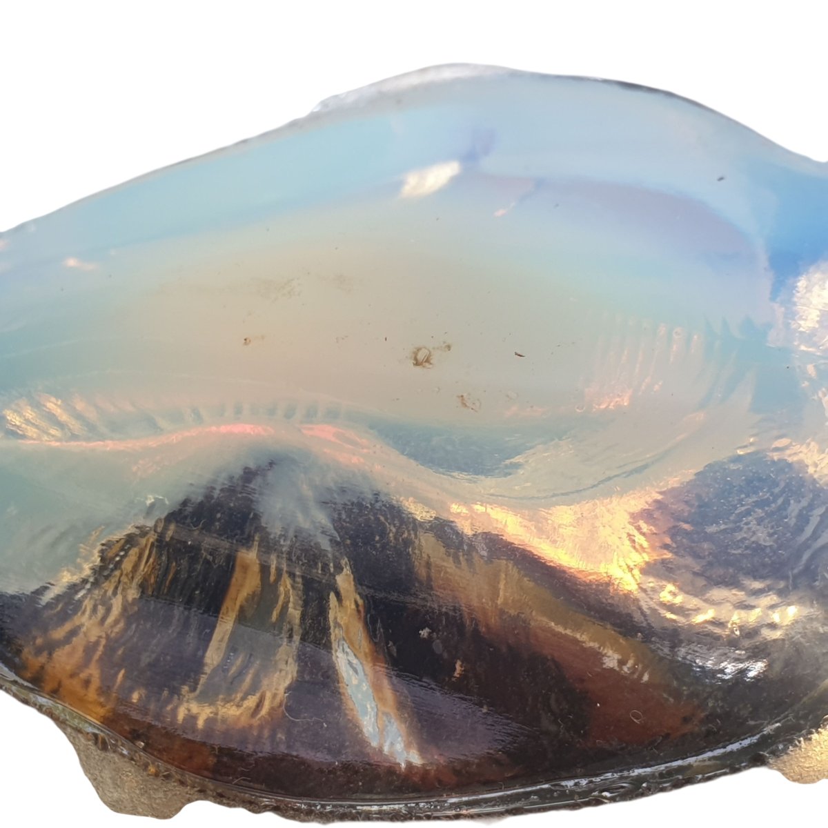 SABINO Porte-piques à escargot verre opalescent avec 10 piques-photo-5
