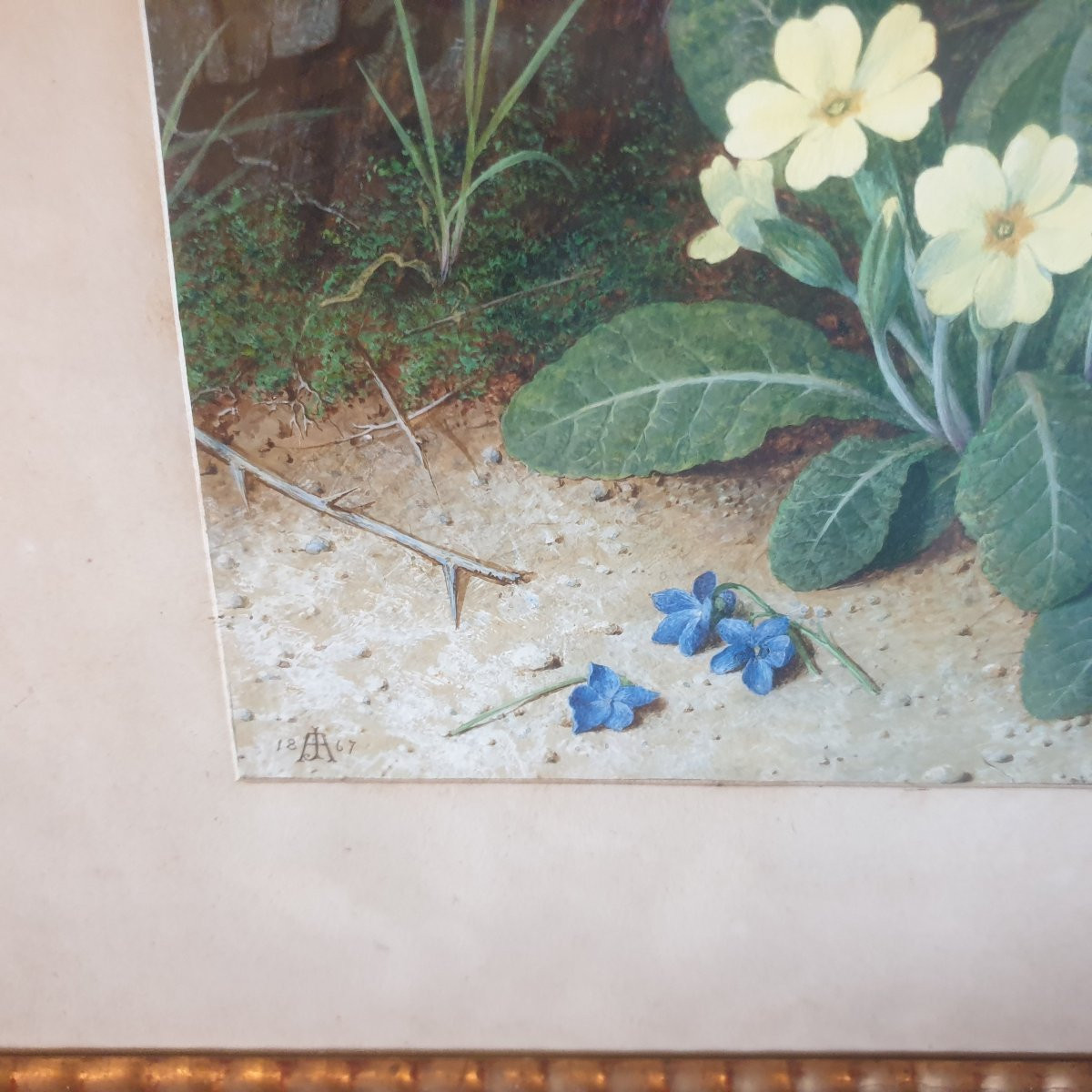 Anderson John Gouache & Watercolor Of Great Realism English School Signed 1867 -photo-4