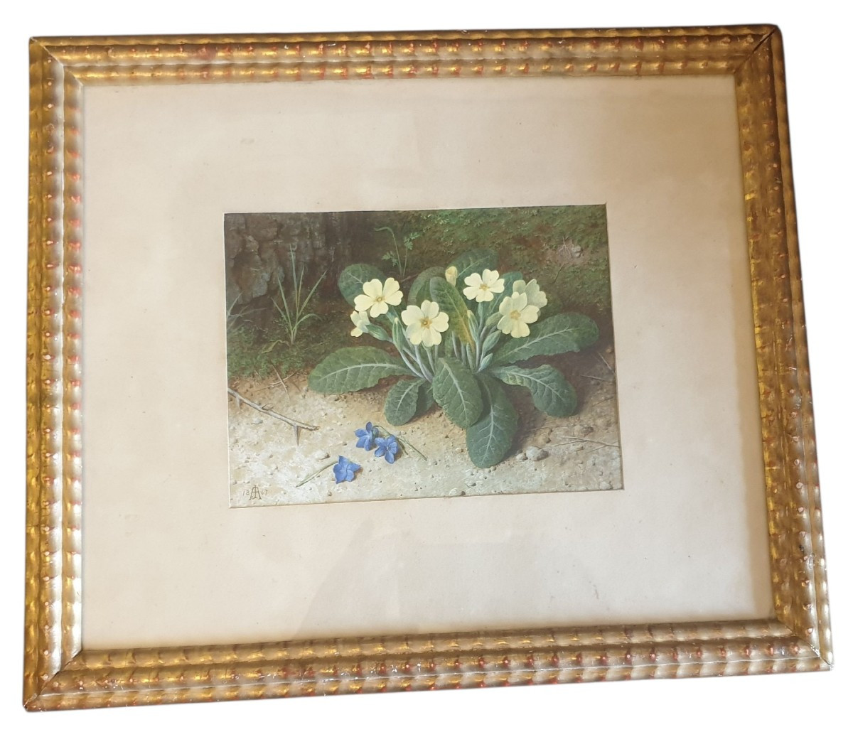 Anderson John Gouache & Watercolor Of Great Realism English School Signed 1867 -photo-6