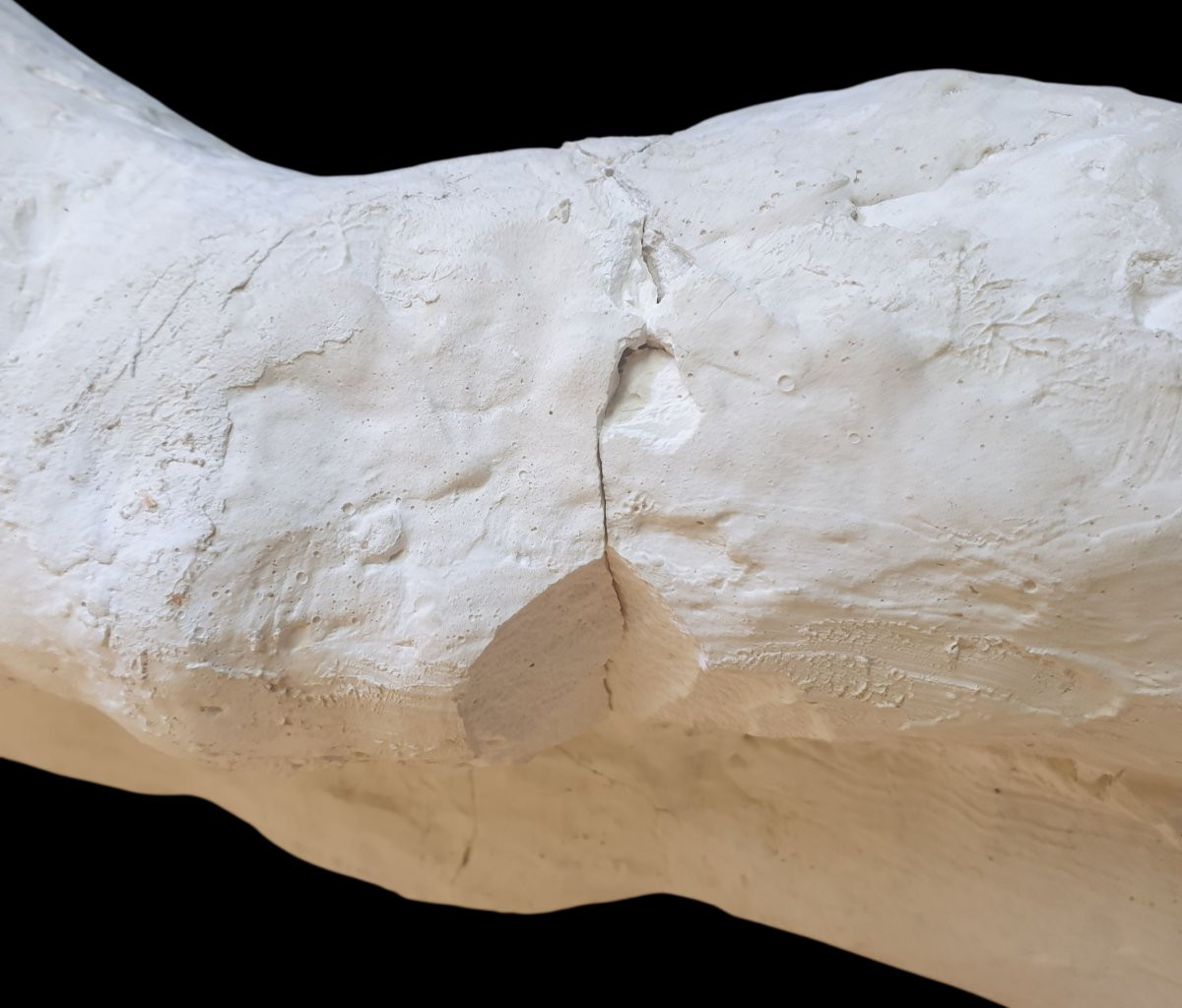 Edouard Cazaux Rare Workshop Plaster Height 1 Meter Signed -photo-8