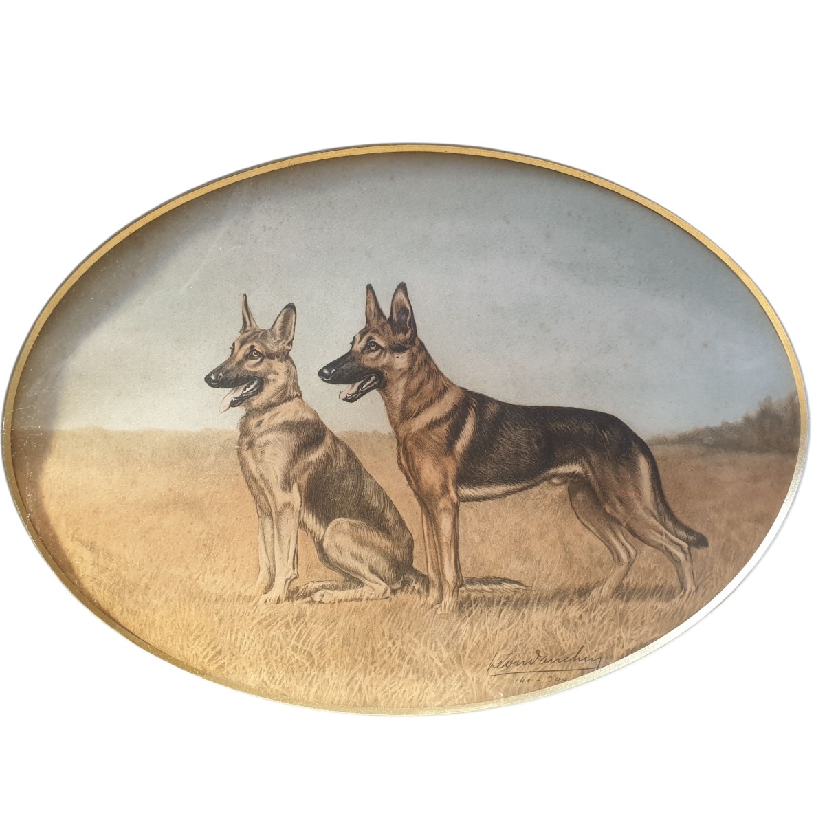 Leon Danchin couple de Berger allemand