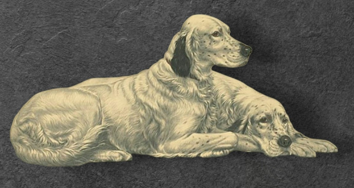 Léon Danchin deux setters au repos 90x78 cm-photo-2