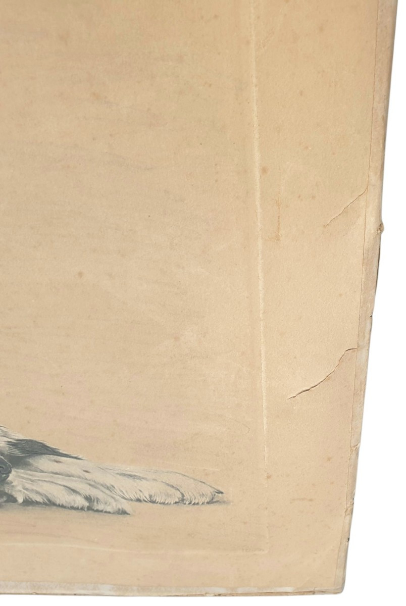 Léon Danchin deux setters au repos 90x78 cm-photo-3