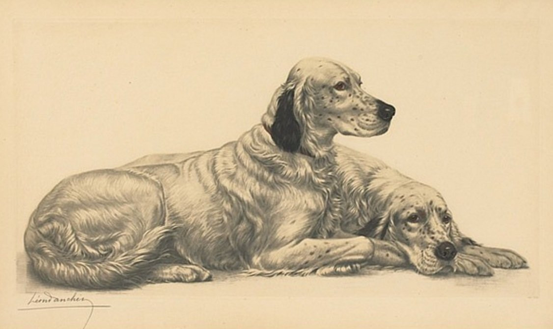 Léon Danchin deux setters au repos 90x78 cm-photo-1