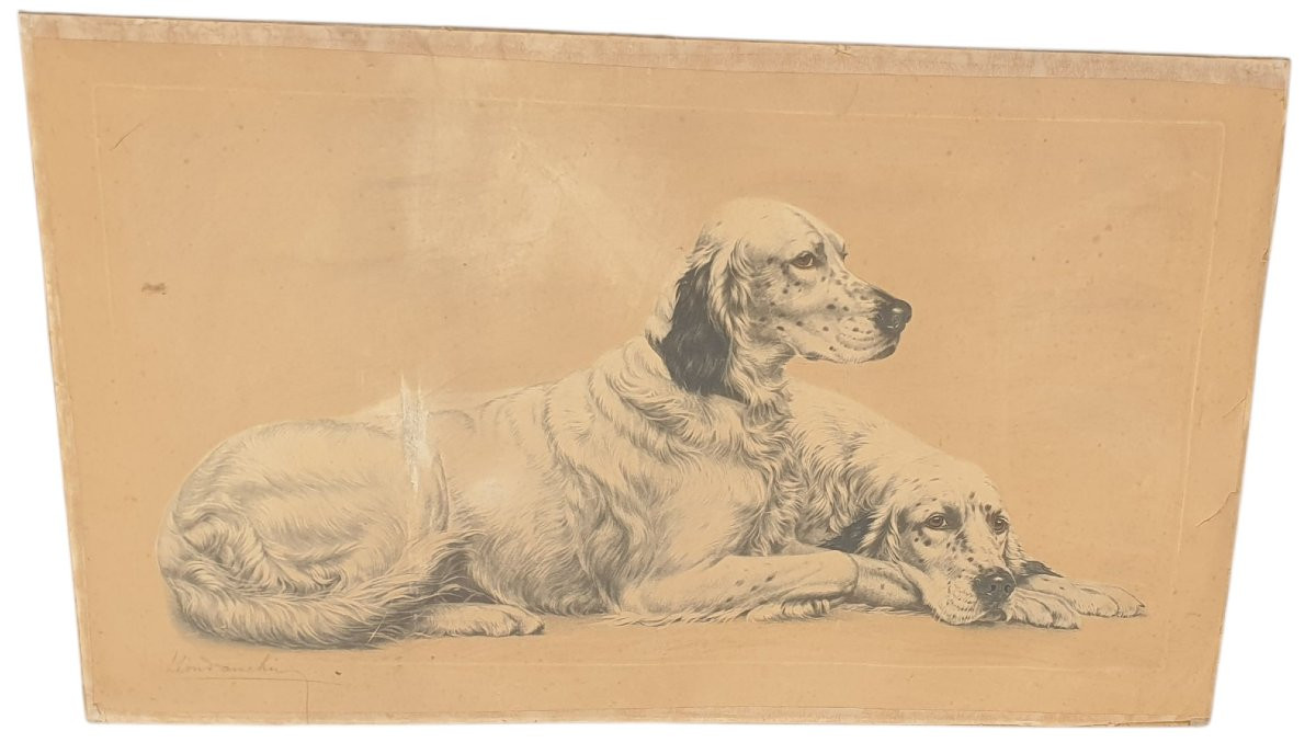 Léon Danchin deux setters au repos 90x78 cm-photo-3