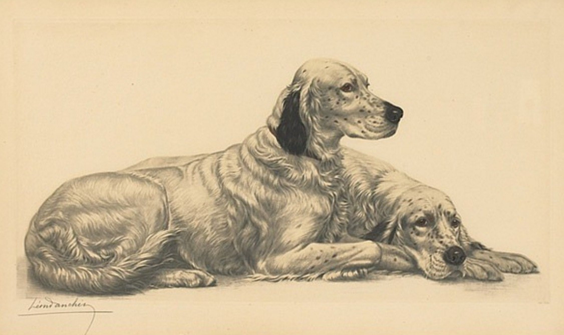 Léon Danchin deux setters au repos 90x78 cm
