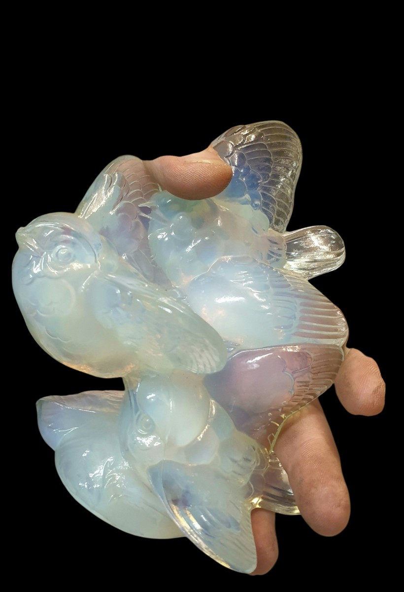 Opalescent Sabino, 3 Birds In Flight -photo-2