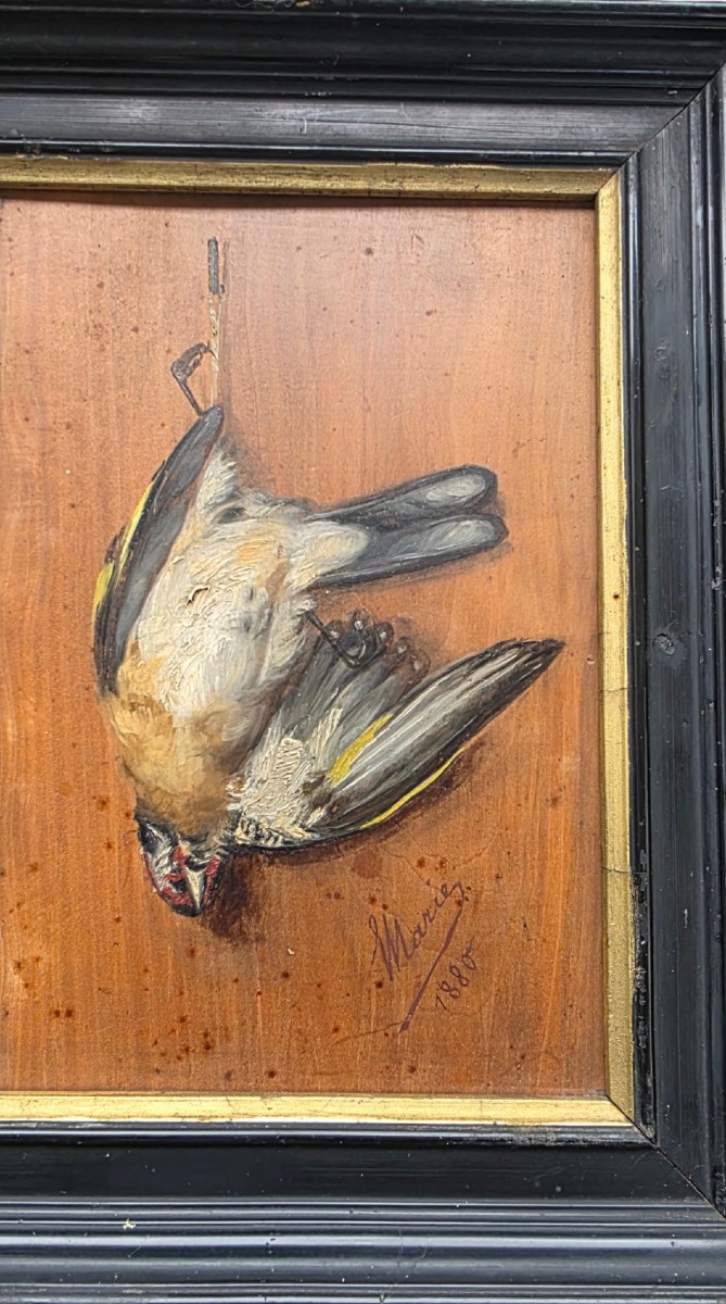 Huile sur bois en trompe l'oeil passereau chardonneret signé Marie 1880 -photo-3
