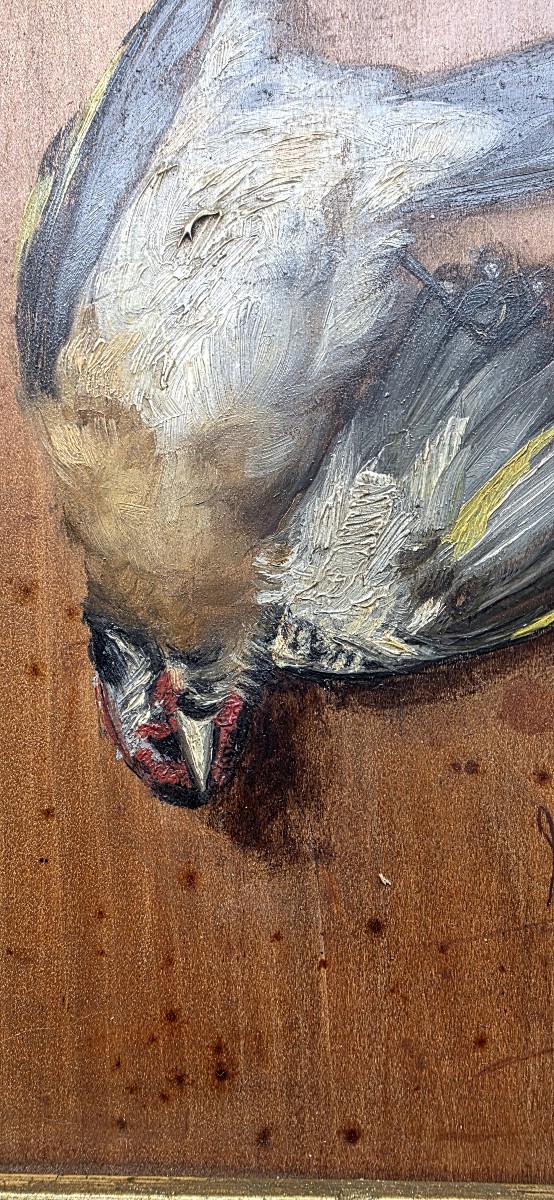 Huile sur bois en trompe l'oeil passereau chardonneret signé Marie 1880 -photo-4