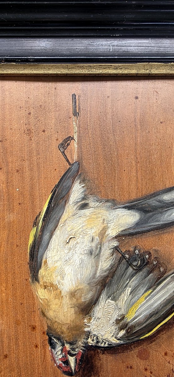 Huile sur bois en trompe l'oeil passereau chardonneret signé Marie 1880 -photo-3