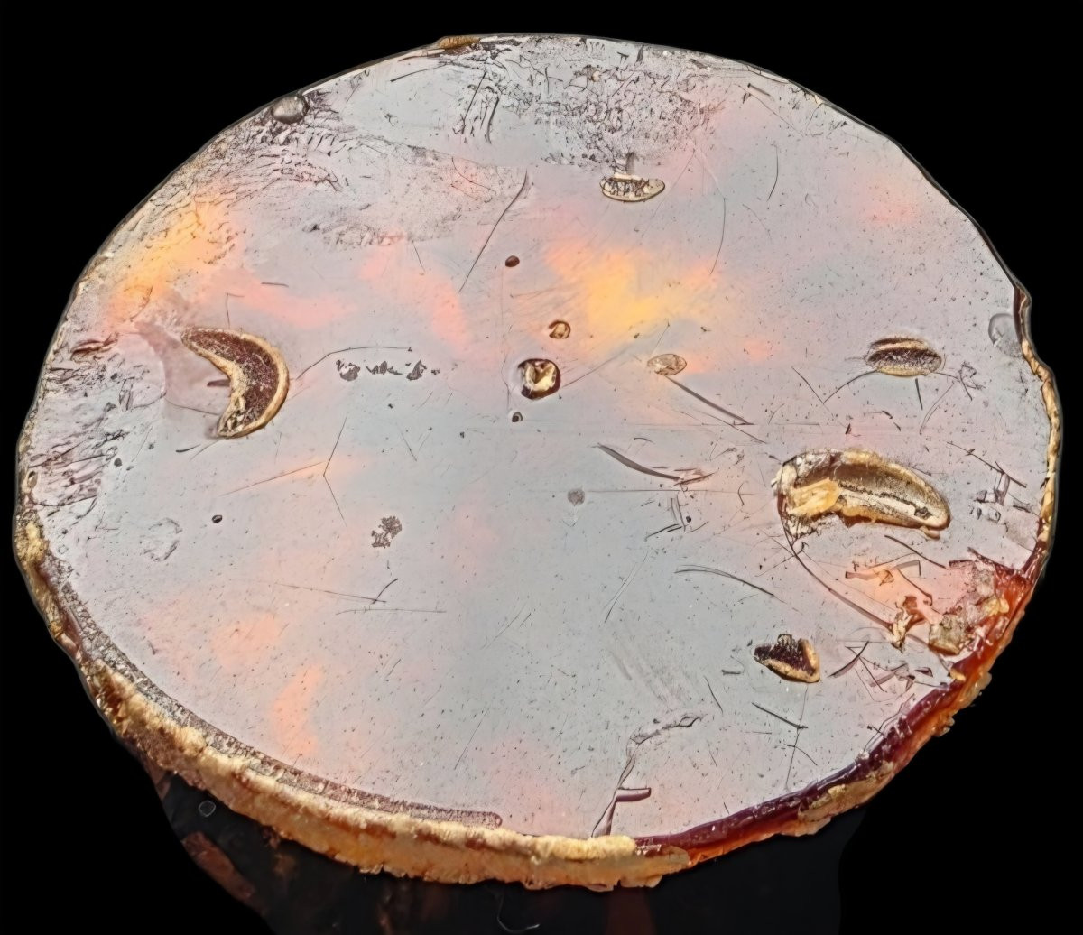 Line Vautrin broche en talosel -photo-2