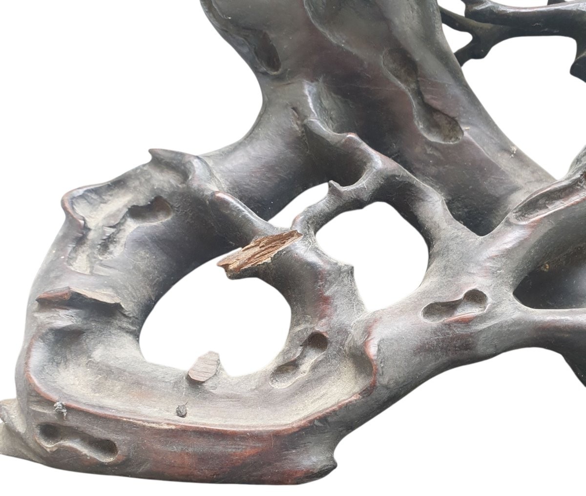 Miroir a poser chine piétement racines tortueuses décor de végétaux XIXeme -photo-3