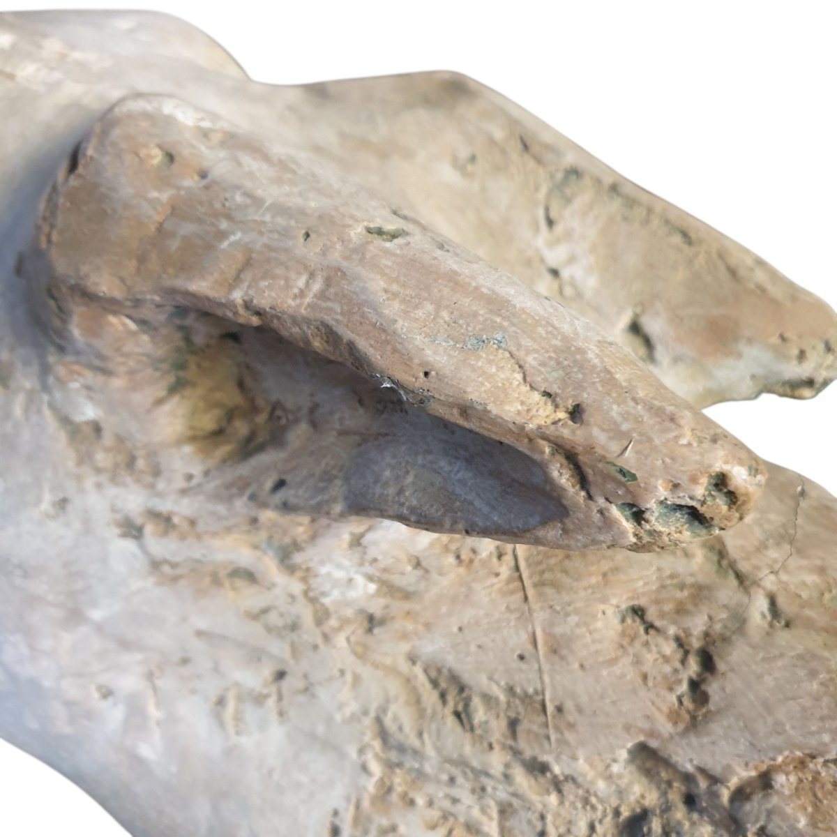 Horse Head: Studio Study In Monumental Terracotta; Travertine Base -photo-4
