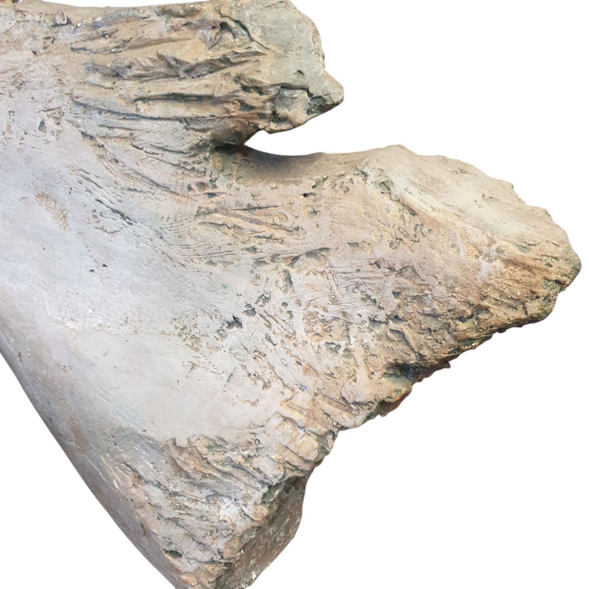 Horse Head: Studio Study In Monumental Terracotta; Travertine Base -photo-1