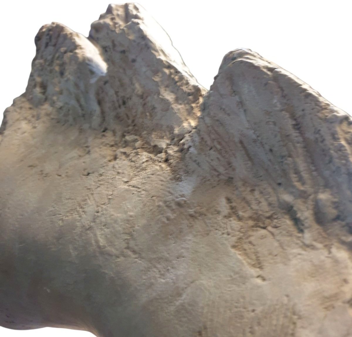 Horse Head: Studio Study In Monumental Terracotta; Travertine Base -photo-4
