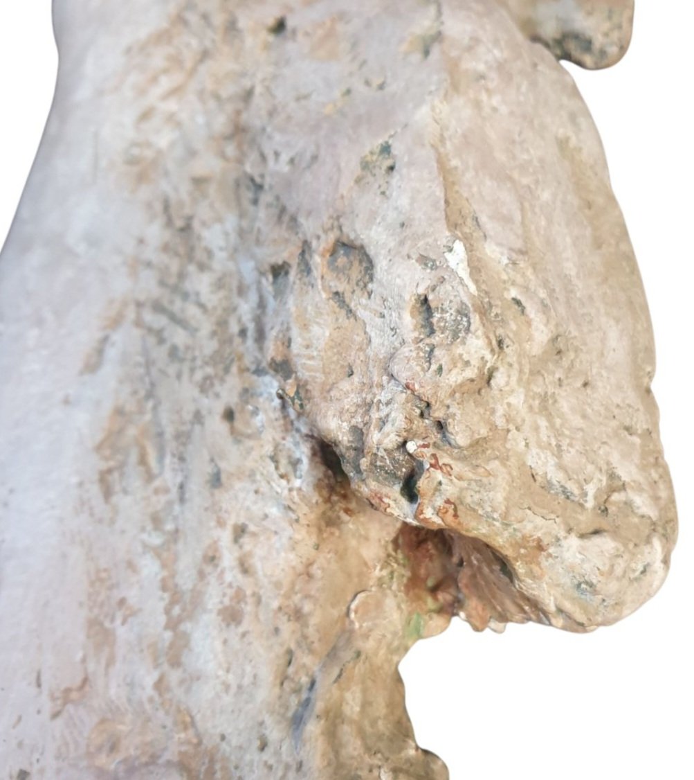 Horse Head: Studio Study In Monumental Terracotta; Travertine Base -photo-6