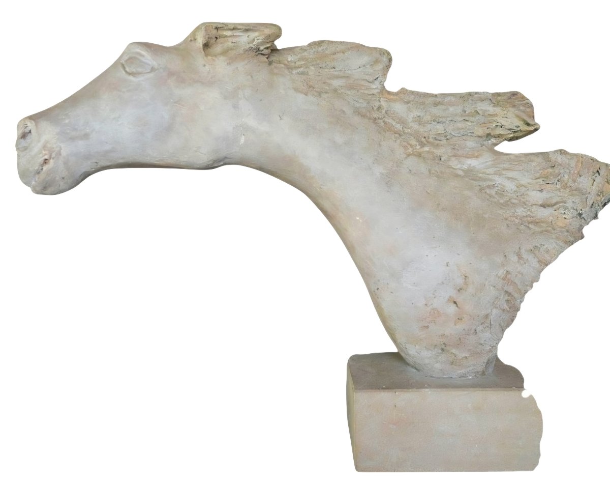 Horse Head: Studio Study In Monumental Terracotta; Travertine Base 