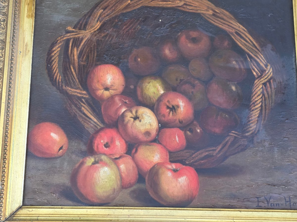 Superbe Huile sur Toile du XIXᵉ  Nature Morte au Panier de Pommes Signée E. Van Hove 76 cm X 66-photo-3