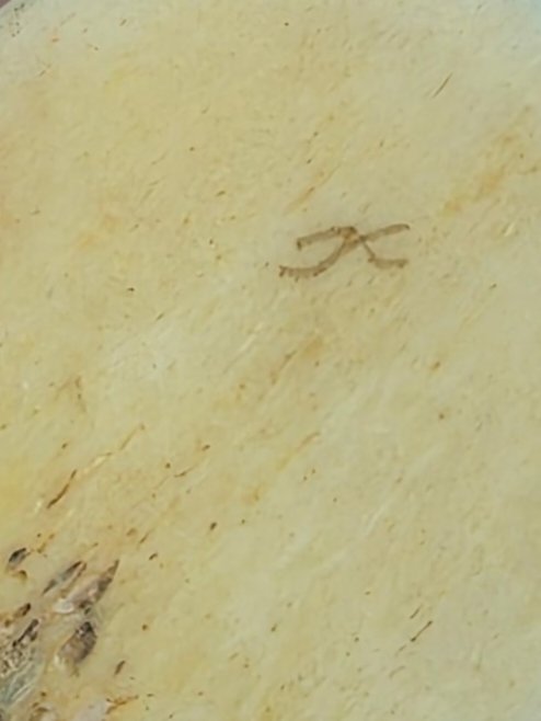  Matière noble magnifacture de dieppe saint Pierre Hauteur 9 cm Poids 32 grammes -photo-4