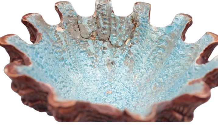  Pair Of 19th-century Thomas-victor Sergent Barbotine Bowls, Palissy Style H, 28 Cm -photo-4