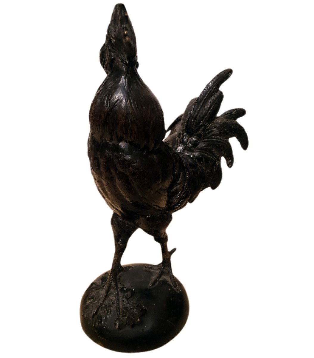 Coq  victorieux En Bronze Signé Paul Comolera Patine Noire 