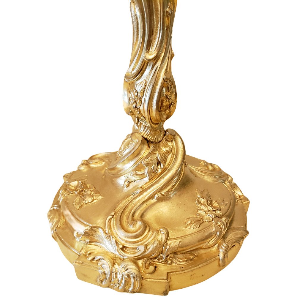 Paire De Candélabres Style Louis XV En Bronze Doré XIXème d'Apres Juste Aurèle Meissonnier-photo-1