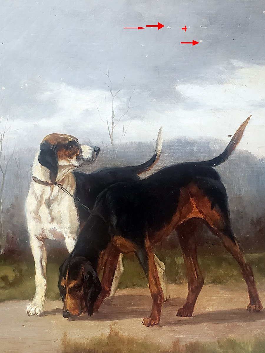 Gaston Carville XIXth Century Hunting Dogs Oil On Canvas-photo-3