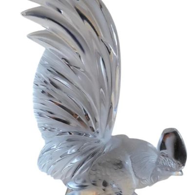 Premiere-Image-1737792