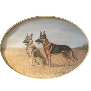 Leon Danchin couple de Berger allemand