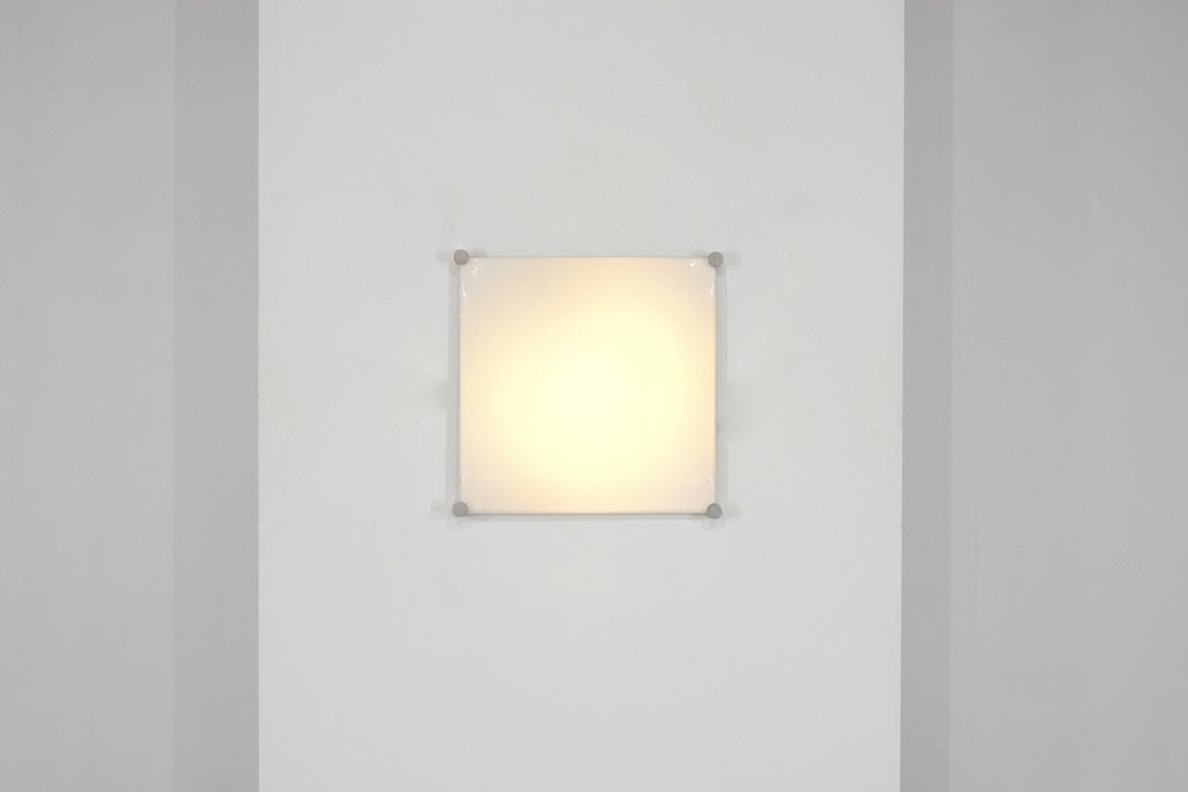Bolla-photo-4