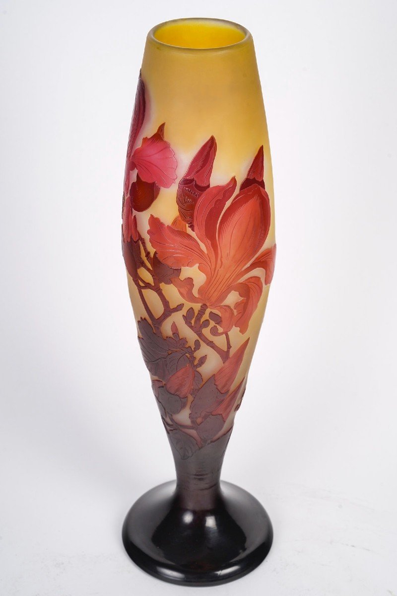 émile Gallé (1846-1904) Magnolias Vase Circa 1900-photo-3