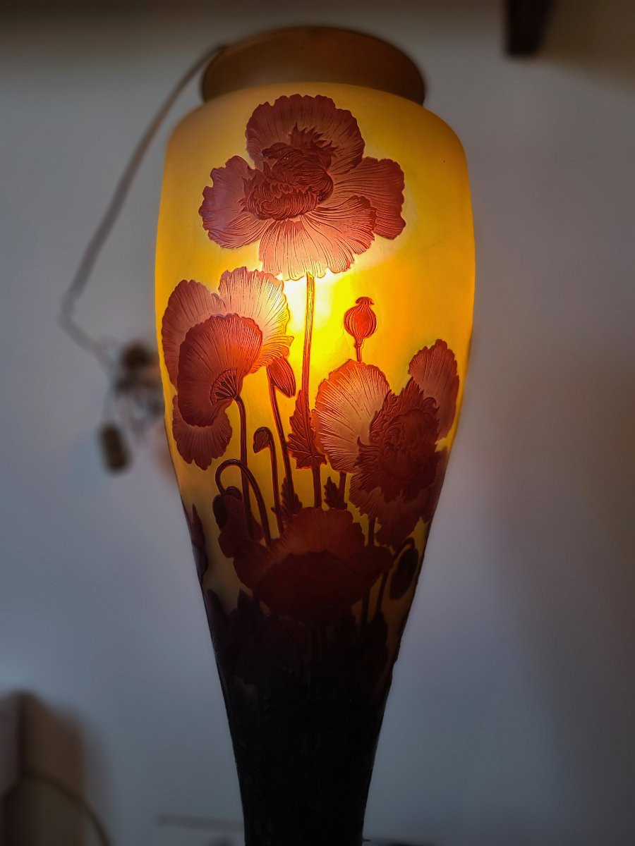 émile Gallé (1846-1904) Pavots Vase-photo-4