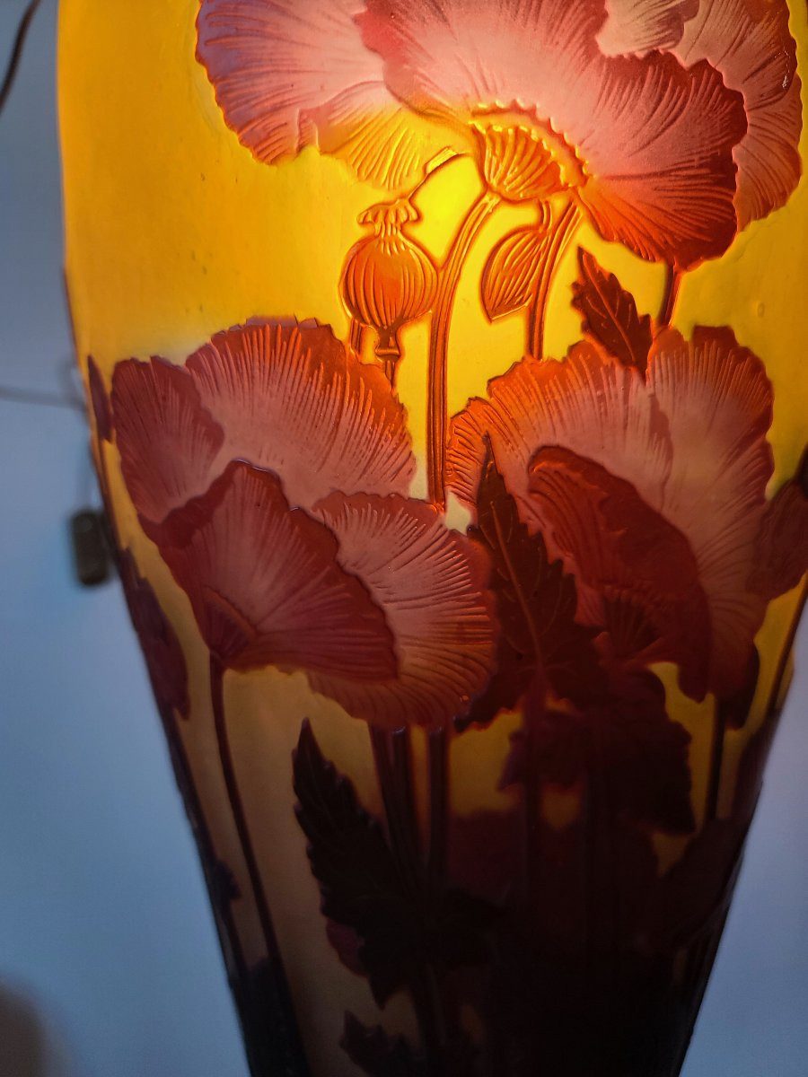 émile Gallé (1846-1904) Pavots Vase-photo-5