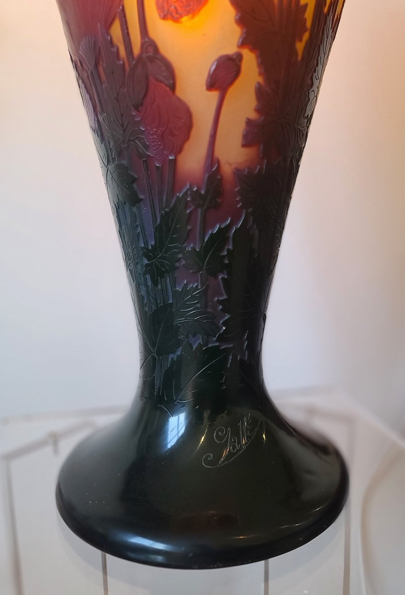 émile Gallé (1846-1904) Pavots Vase-photo-6