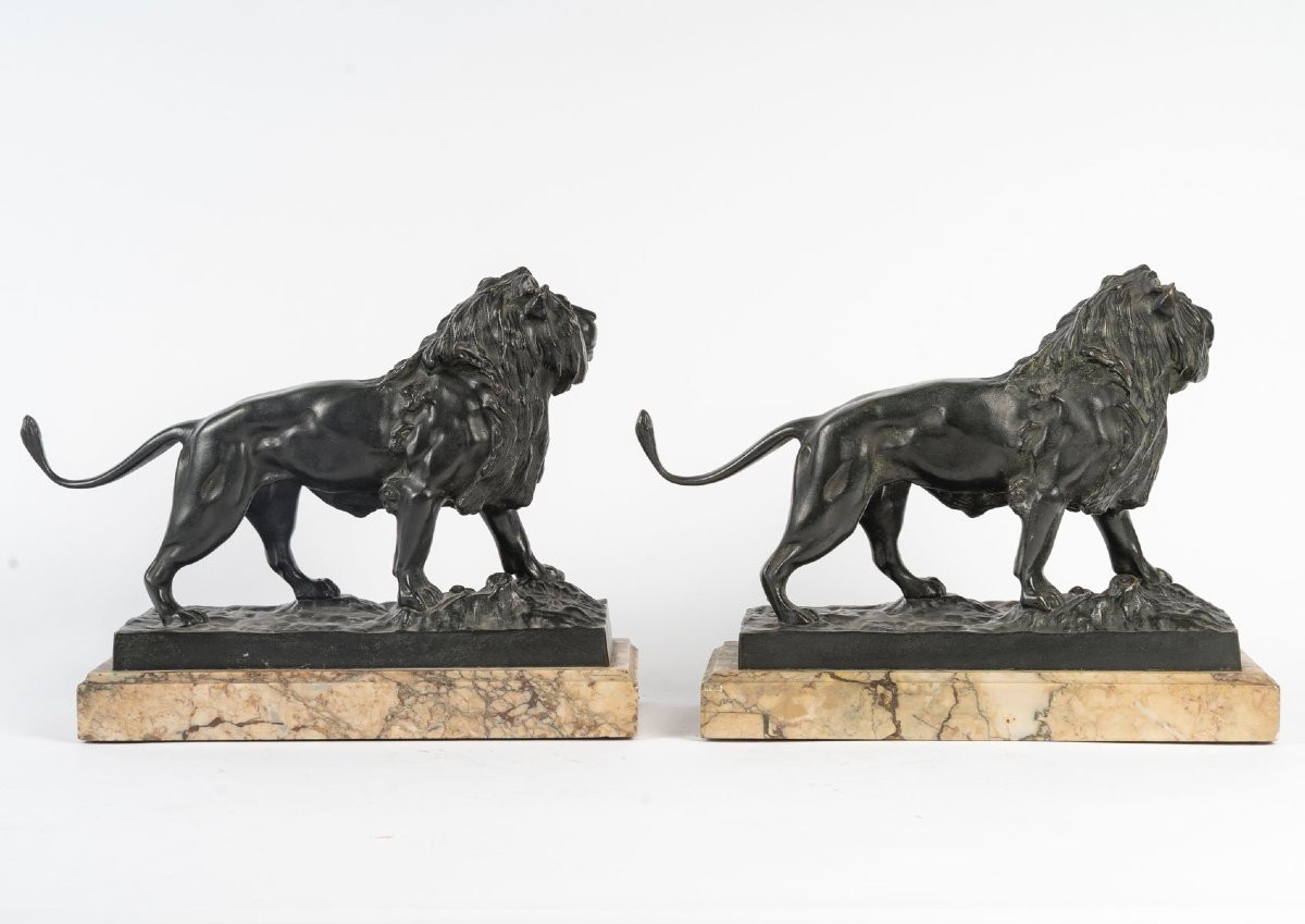 Jules Moigniez  (1835-1894), Paire de Lions en bronze -photo-3