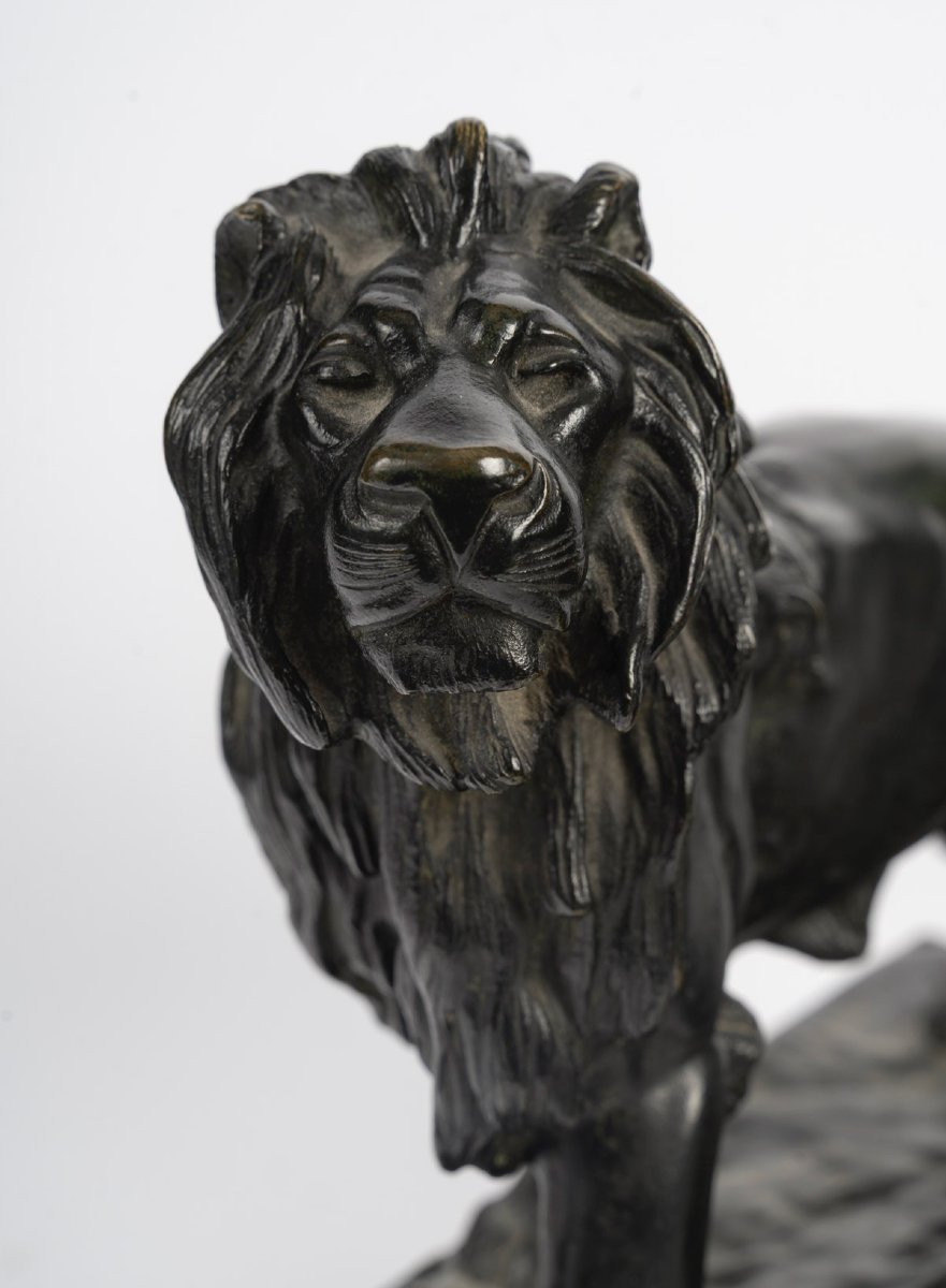 Jules Moigniez  (1835-1894), Paire de Lions en bronze -photo-5