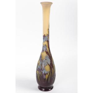 émile Gallé (1846-1904), Art Nouveau Cameo Glass « Gladiolus » Vase 