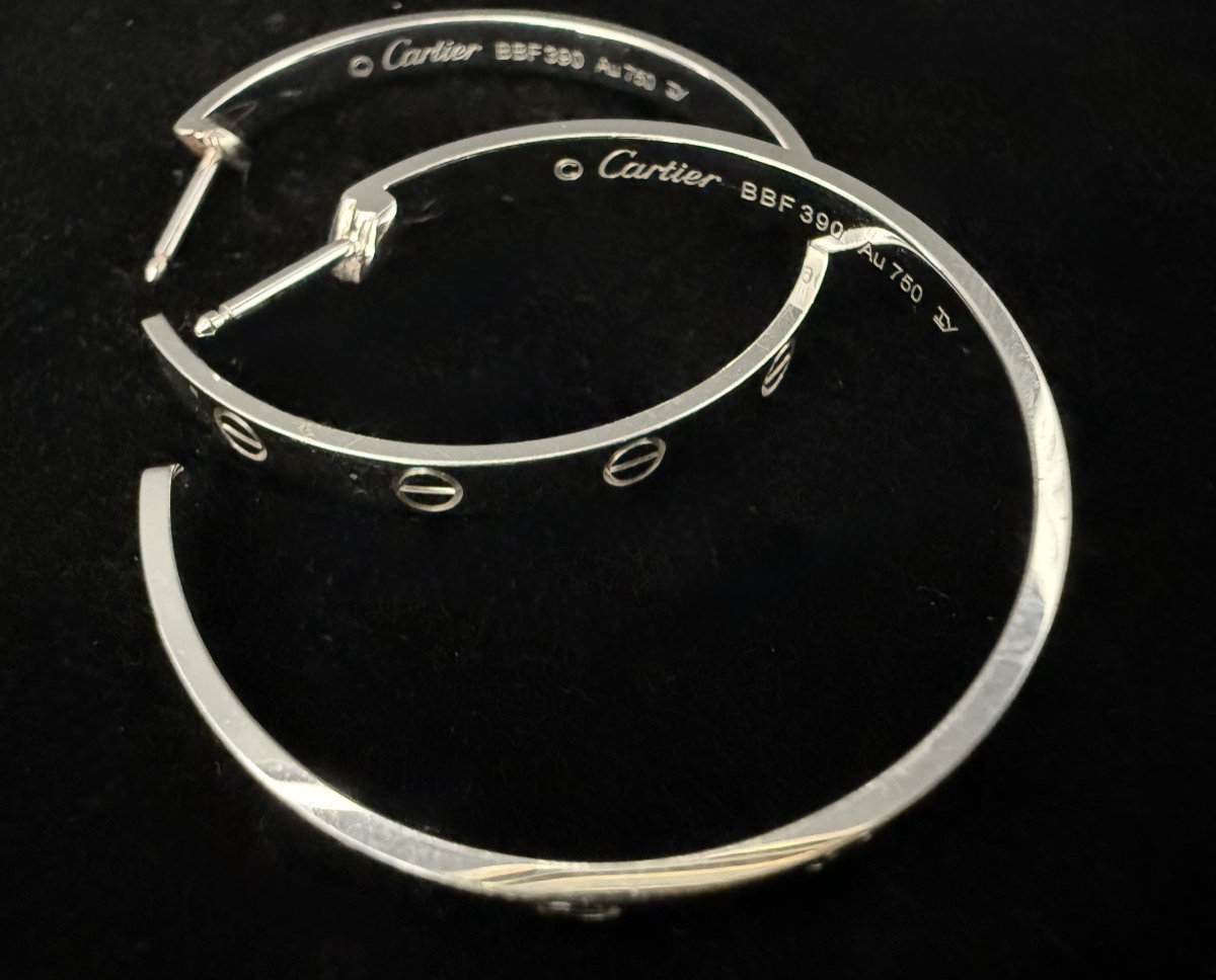 Earrings, 18k White Gold, Signed/numbered De Cartier, Love Model, Screw Decoration-photo-1