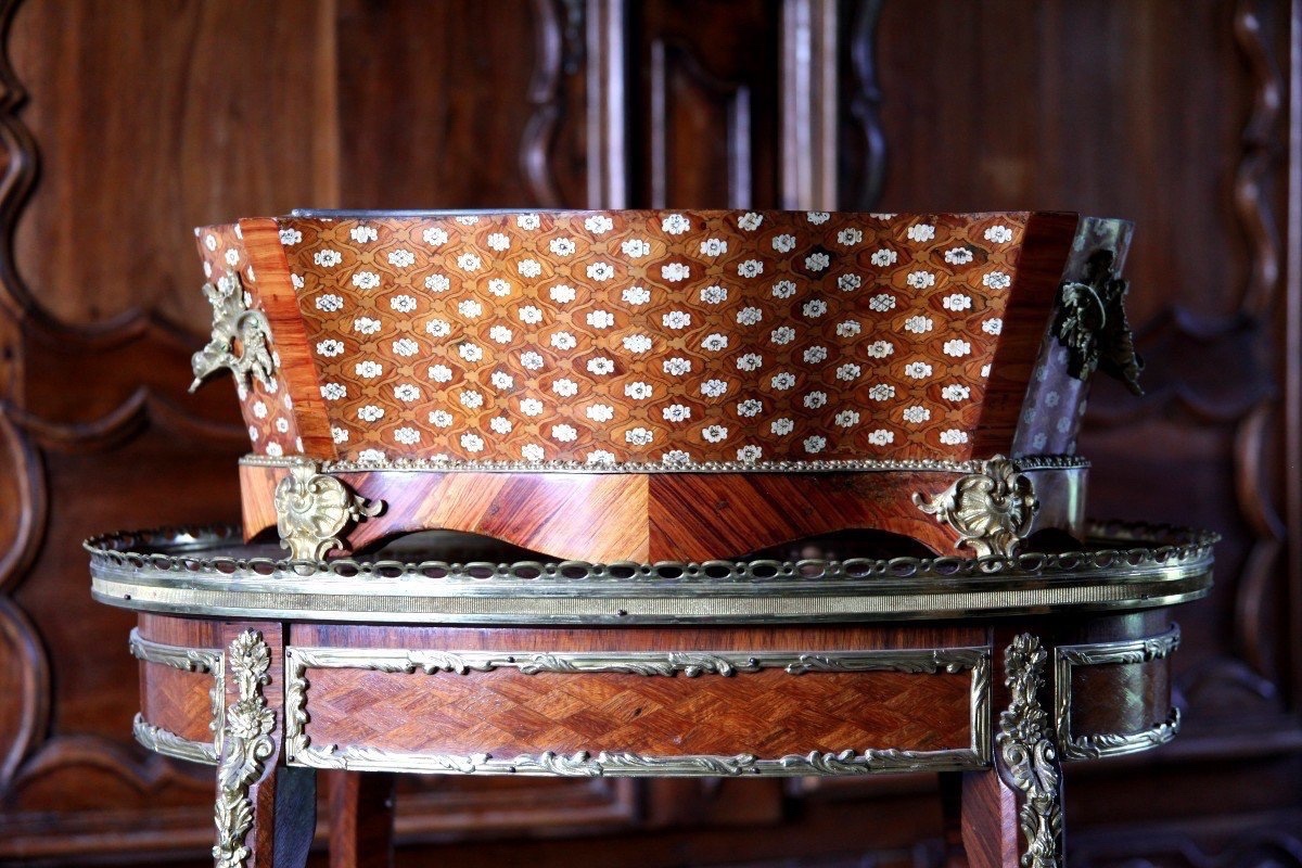 French Plant Stand From The Mid-1800s, In The Louis XV Style, Made Of Rosewood And Ruddy Wood-photo-3