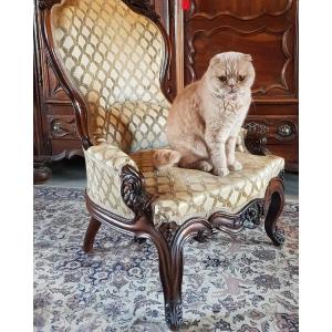 Boudoir Armchair. Nineteenth Century. Mahogany