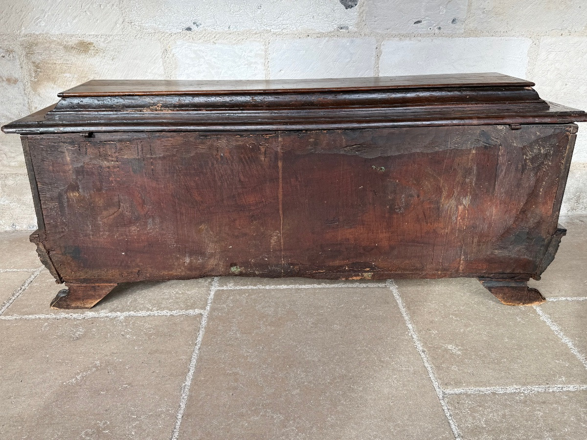 Renaissance-era Walnut Cassone, Florence, 16th Century-photo-4