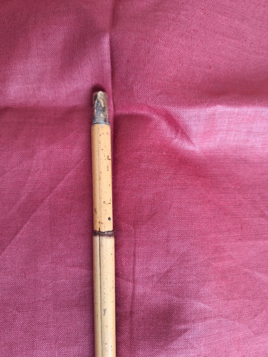 Ladies' Walking Stick Or Cane  Made Of Cane With A Solid Silver Knob-photo-4