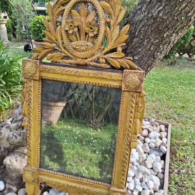 Premiere-Image-1746009