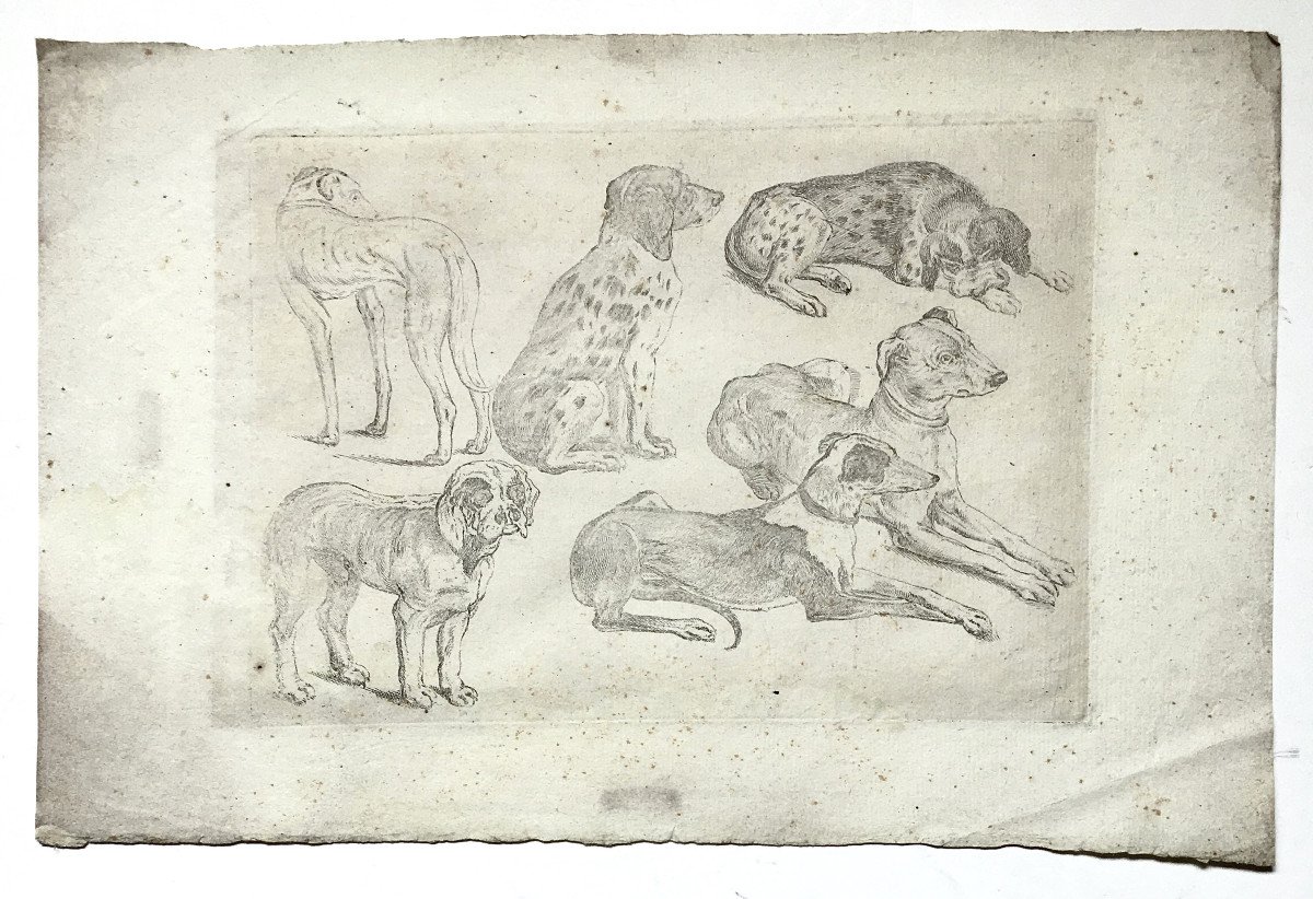 Wenceslas Hollar (1607, Prague - 1677, London). Pair Of Engravings. 17th Century.-photo-4
