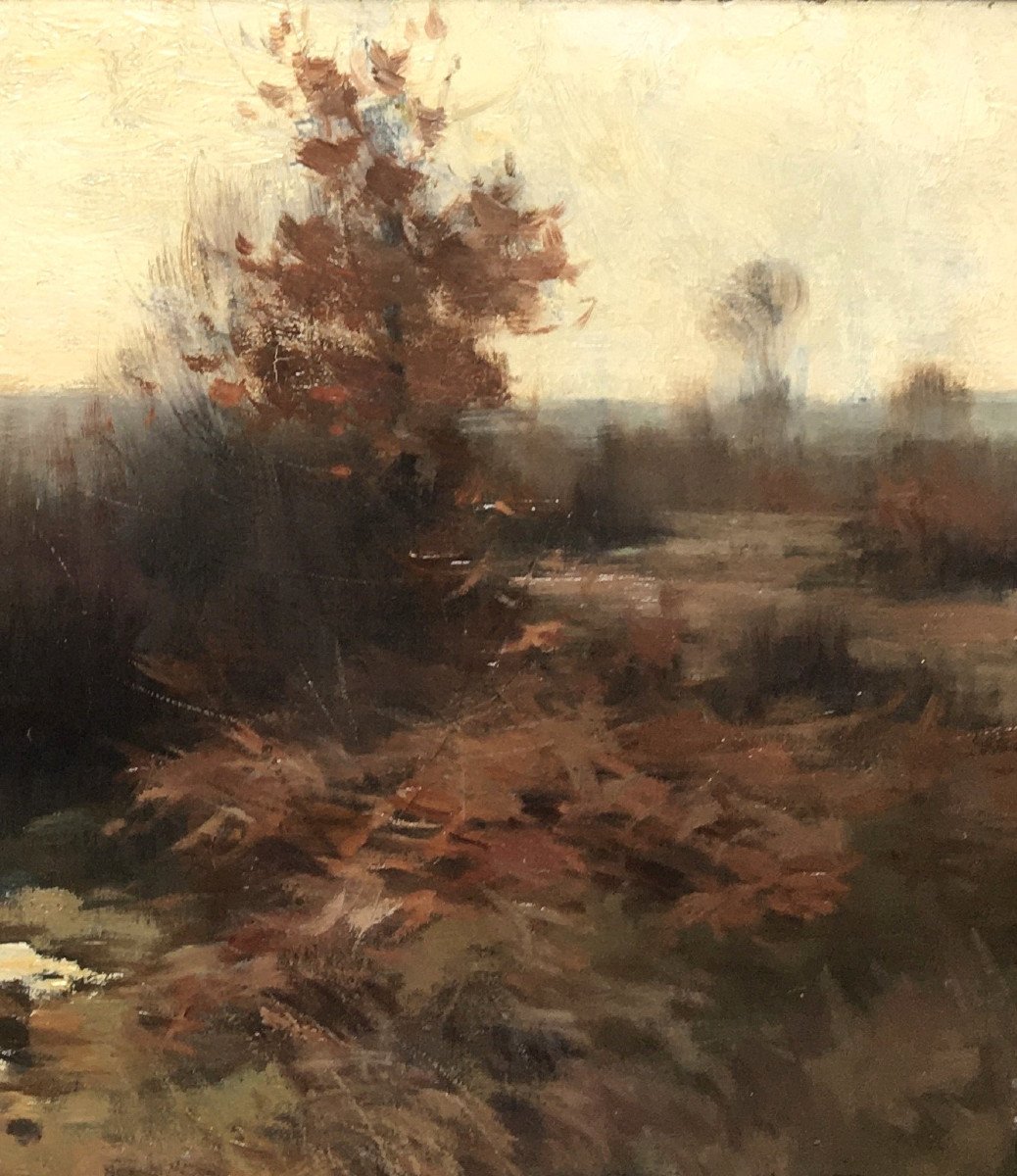 Émile Van Doren ( Bruxelles, 1865- Genk, 1949). " Soleil d'hiver".-photo-4